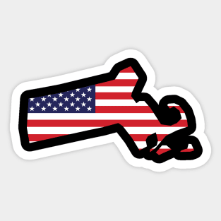 Massachusetts State Shape Flag Background Sticker